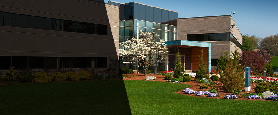 Bedminster Landscapers