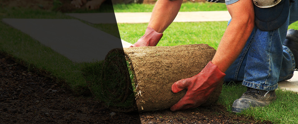 Bedminster Landscapers